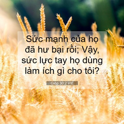 Picture 07 - Gióp 30:2 VIE - Sức mạnh của họ đã hư bại rồi; - Bible Verse Picture
