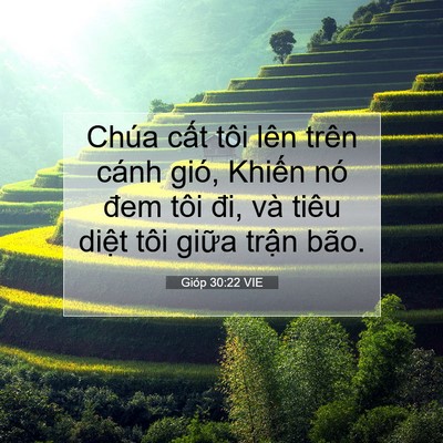 Picture 07 - Gióp 30:22 VIE - Chúa cất tôi lên trên cánh gió, Khiến - Bible Verse Picture