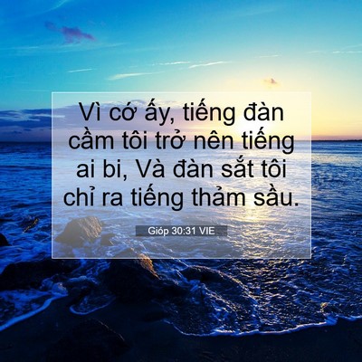 Picture 07 - Gióp 30:31 VIE - Vì cớ ấy, tiếng đàn cầm tôi trở - Bible Verse Picture