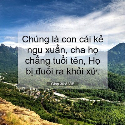 Picture 07 - Gióp 30:8 VIE - Chúng là con cái kẻ ngu xuẩn, cha họ - Bible Verse Picture