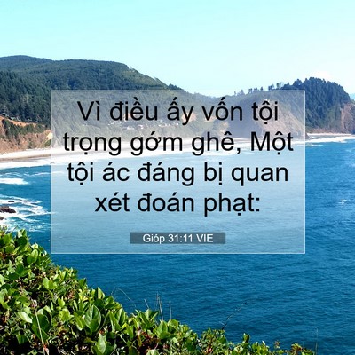 Picture 07 - Gióp 31:11 VIE - Vì điều ấy vốn tội trọng gớm ghê, - Bible Verse Picture
