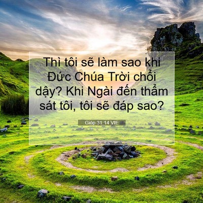 Picture 07 - Gióp 31:14 VIE - Thì tôi sẽ làm sao khi Đức Chúa Trời - Bible Verse Picture
