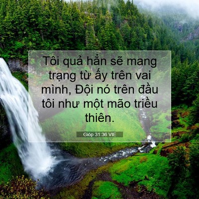 Picture 07 - Gióp 31:36 VIE - Tôi quả hẳn sẽ mang trạng từ ấy - Bible Verse Picture