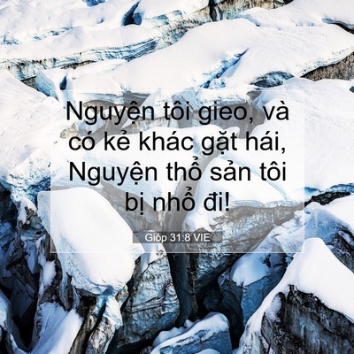 Picture 07 - Gióp 31:8 VIE - Nguyện tôi gieo, và có kẻ khác gặt - Bible Verse Picture