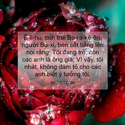 Picture 07 - Gióp 32:6 VIE - Ê-li-hu, con trai Ba-ra-kê-ên, người Bu-xi, - Bible Verse Picture