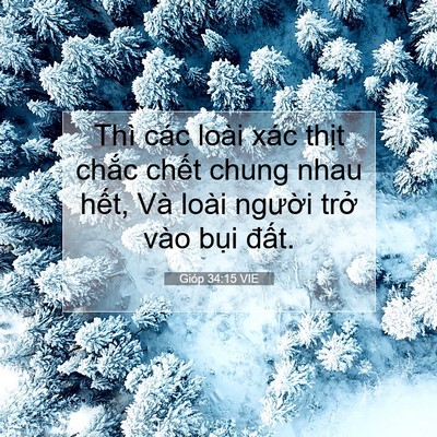 Picture 07 - Gióp 34:15 VIE - Thì các loài xác thịt chắc chết chung - Bible Verse Picture