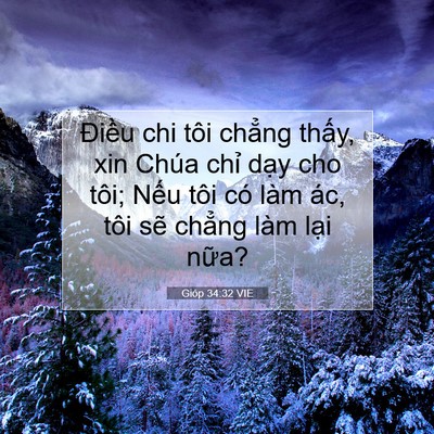 Picture 07 - Gióp 34:32 VIE - Điều chi tôi chẳng thấy, xin Chúa chỉ - Bible Verse Picture