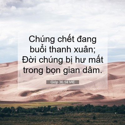 Picture 07 - Gióp 36:14 VIE - Chúng chết đang buổi thanh xuân; Đời - Bible Verse Picture