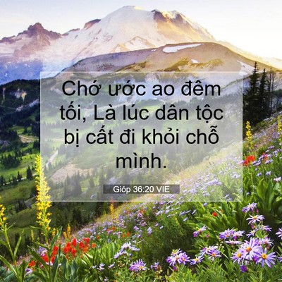 Picture 07 - Gióp 36:20 VIE - Chớ ước ao đêm tối, Là lúc dân tộc - Bible Verse Picture