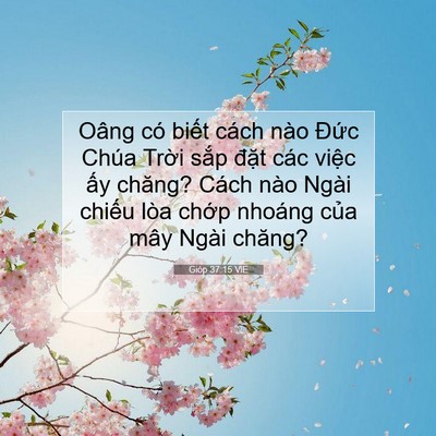 Picture 07 - Gióp 37:15 VIE - Oâng có biết cách nào Đức Chúa Trời - Bible Verse Picture
