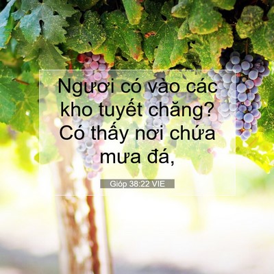 Picture 07 - Gióp 38:22 VIE - Ngươi có vào các kho tuyết chăng? Có - Bible Verse Picture