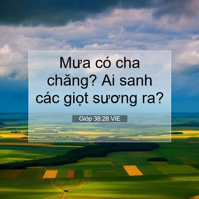 Picture 07 - Gióp 38:28 VIE - Mưa có cha chăng? Ai sanh các giọt sương - Bible Verse Picture