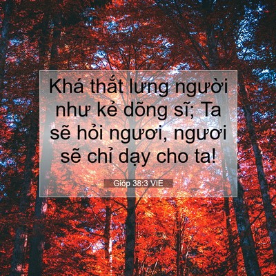 Picture 07 - Gióp 38:3 VIE - Khá thắt lưng người như kẻ dõng sĩ; - Bible Verse Picture