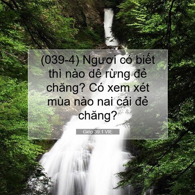 Picture 07 - Gióp 39:1 VIE - (039-4) Ngươi có biết thì nào dê rừng - Bible Verse Picture