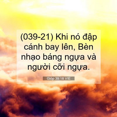 Picture 07 - Gióp 39:18 VIE - (039-21) Khi nó đập cánh bay lên, Bèn - Bible Verse Picture