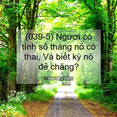 Picture 07 - Gióp 39:2 VIE - (039-5) Ngươi có tính số tháng nó có - Bible Verse Picture