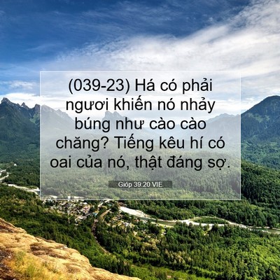 Picture 07 - Gióp 39:20 VIE - (039-23) Há có phải ngươi khiến nó - Bible Verse Picture