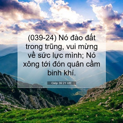 Picture 07 - Gióp 39:21 VIE - (039-24) Nó đào đất trong trũng, vui - Bible Verse Picture