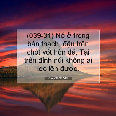 Picture 07 - Gióp 39:28 VIE - (039-31) Nó ở trong bàn thạch, đậu trên - Bible Verse Picture