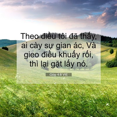Picture 07 - Gióp 4:8 VIE - Theo điều tôi đã thấy, ai cày sự gian - Bible Verse Picture