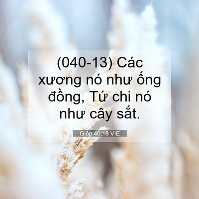 Picture 07 - Gióp 40:18 VIE - (040-13) Các xương nó như ống đồng, - Bible Verse Picture