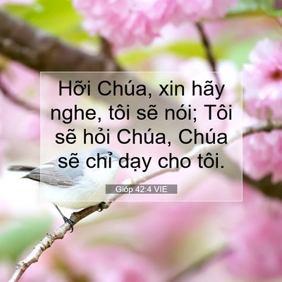 Picture 07 - Gióp 42:4 VIE - Hỡi Chúa, xin hãy nghe, tôi sẽ nói; Tôi - Bible Verse Picture