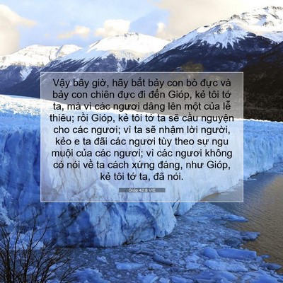 Picture 07 - Gióp 42:8 VIE - Vậy bây giờ, hãy bắt bảy con bò đực - Bible Verse Picture