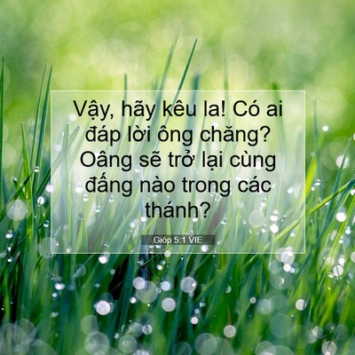 Picture 07 - Gióp 5:1 VIE - Vậy, hãy kêu la! Có ai đáp lời ông - Bible Verse Picture