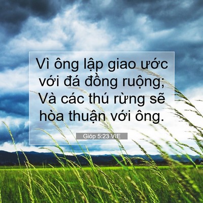 Picture 07 - Gióp 5:23 VIE - Vì ông lập giao ước với đá đồng - Bible Verse Picture