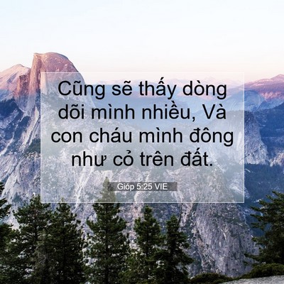 Picture 07 - Gióp 5:25 VIE - Cũng sẽ thấy dòng dõi mình nhiều, Và - Bible Verse Picture