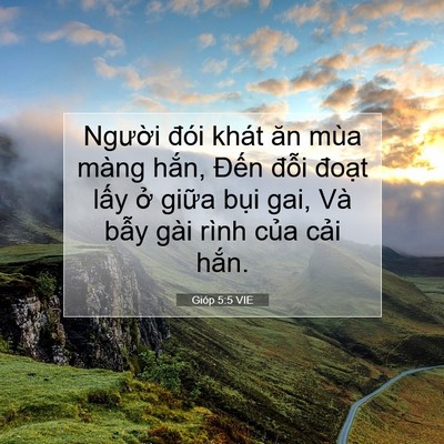 Picture 07 - Gióp 5:5 VIE - Người đói khát ăn mùa màng hắn, Đến - Bible Verse Picture