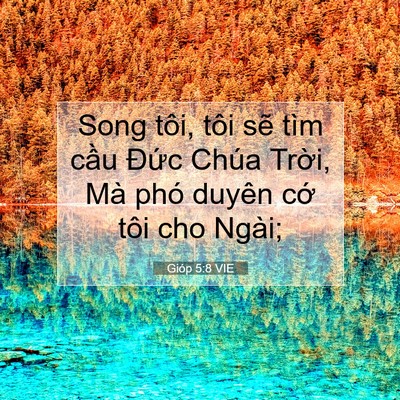 Picture 07 - Gióp 5:8 VIE - Song tôi, tôi sẽ tìm cầu Đức Chúa - Bible Verse Picture