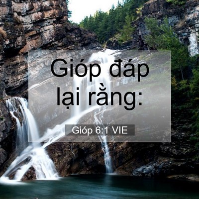 Picture 07 - Gióp 6:1 VIE - Gióp đáp lại - Bible Verse Picture