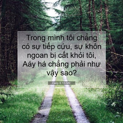 Picture 07 - Gióp 6:13 VIE - Trong mình tôi chẳng có sự tiếp cứu, - Bible Verse Picture