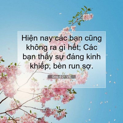 Picture 07 - Gióp 6:21 VIE - Hiện nay các bạn cũng không ra gì hết; - Bible Verse Picture