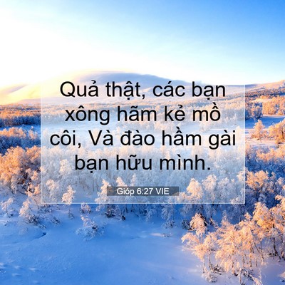 Picture 07 - Gióp 6:27 VIE - Quả thật, các bạn xông hãm kẻ mồ - Bible Verse Picture