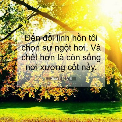 Picture 07 - Gióp 7:15 VIE - Đến đỗi linh hồn tôi chọn sự ngột - Bible Verse Picture