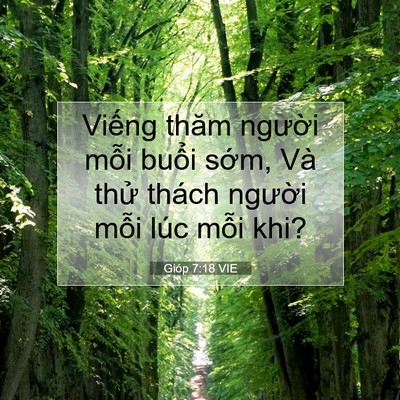 Picture 07 - Gióp 7:18 VIE - Viếng thăm người mỗi buổi sớm, Và - Bible Verse Picture