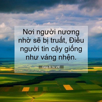 Picture 07 - Gióp 8:14 VIE - Nơi người nương nhờ sẽ bị truất, - Bible Verse Picture