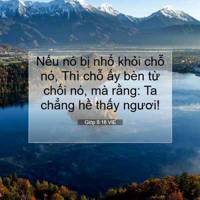 Picture 07 - Gióp 8:18 VIE - Nếu nó bị nhổ khỏi chỗ nó, Thì chỗ - Bible Verse Picture