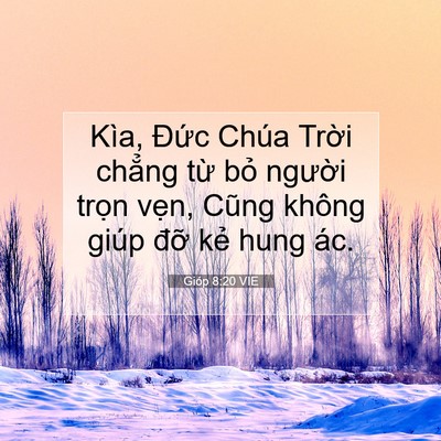 Picture 07 - Gióp 8:20 VIE - Kìa, Đức Chúa Trời chẳng từ bỏ - Bible Verse Picture