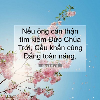 Picture 07 - Gióp 8:5 VIE - Nếu ông cẩn thận tìm kiếm Đức Chúa - Bible Verse Picture