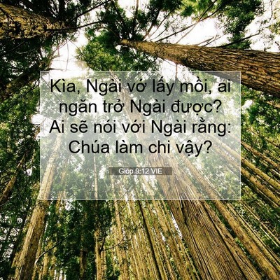 Picture 07 - Gióp 9:12 VIE - Kìa, Ngài vớ lấy mồi, ai ngăn trở - Bible Verse Picture