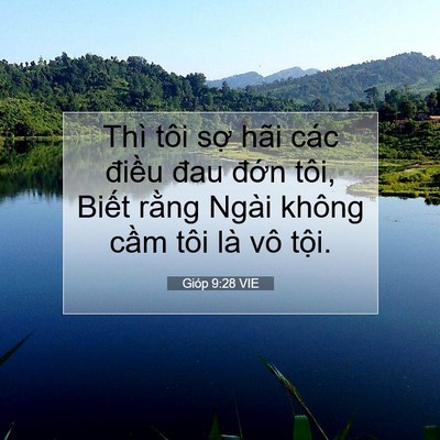 Picture 07 - Gióp 9:28 VIE - Thì tôi sợ hãi các điều đau đớn - Bible Verse Picture