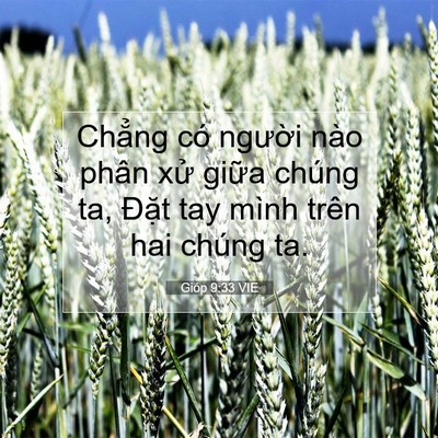 Picture 07 - Gióp 9:33 VIE - Chẳng có người nào phân xử giữa - Bible Verse Picture