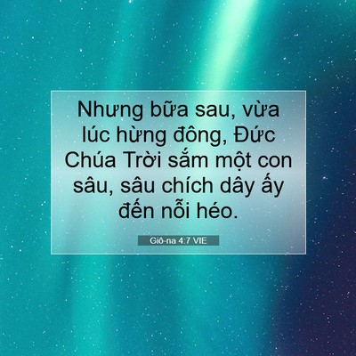 Picture 07 - Giô-na 4:7 VIE - Nhưng bữa sau, vừa lúc hừng đông, - Bible Verse Picture