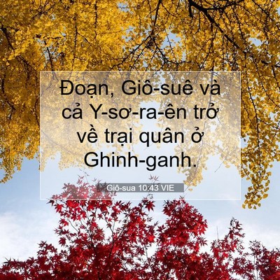 Picture 07 - Giô-sua 10:43 VIE - Đoạn, Giô-suê và cả Y-sơ-ra-ên trở - Bible Verse Picture