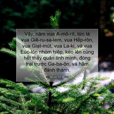 Picture 07 - Giô-sua 10:5 VIE - Vậy, năm vua A-mô-rít, tức là vua - Bible Verse Picture