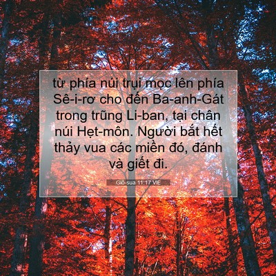Picture 07 - Giô-sua 11:17 VIE - từ phía núi trụi mọc lên phía Sê-i-rơ - Bible Verse Picture