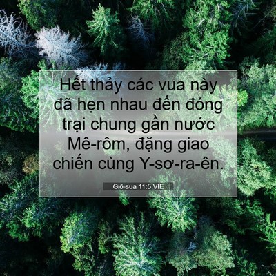 Picture 07 - Giô-sua 11:5 VIE - Hết thảy các vua này đã hẹn nhau đến - Bible Verse Picture